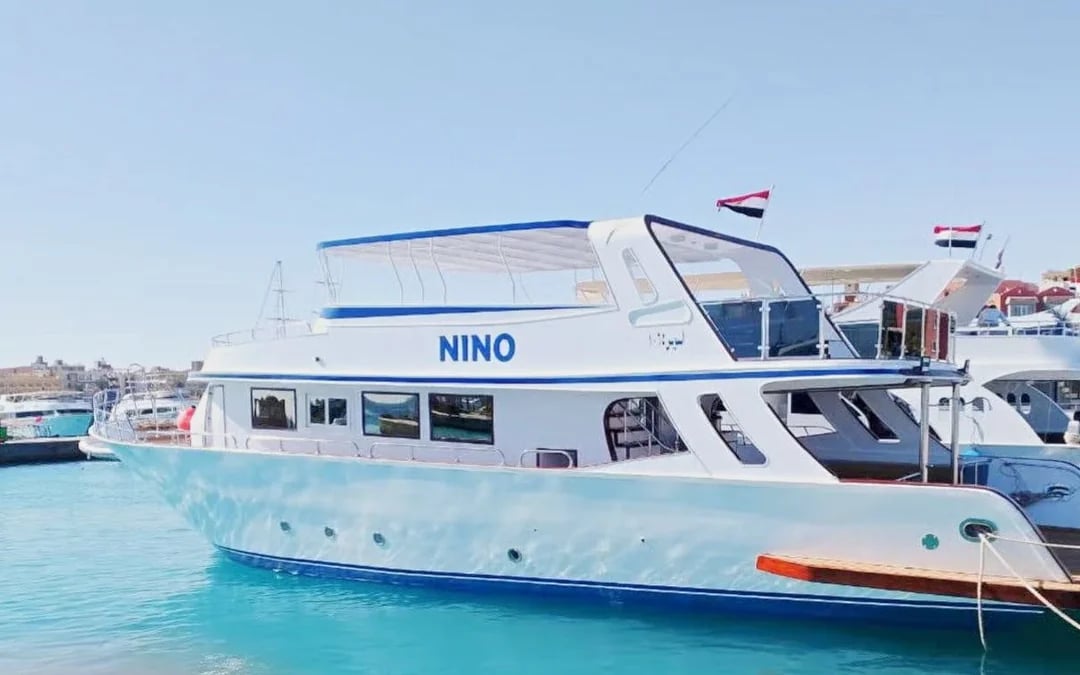 From Hurghada: Sunset Intro Dive, Dolphin Watching, Snorkeling & Lunch Image 4