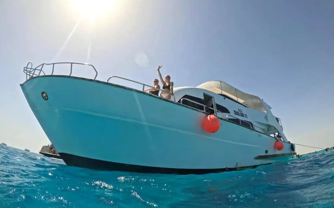From Hurghada: Sunset Intro Dive, Dolphin Watching, Snorkeling & Lunch Image 7