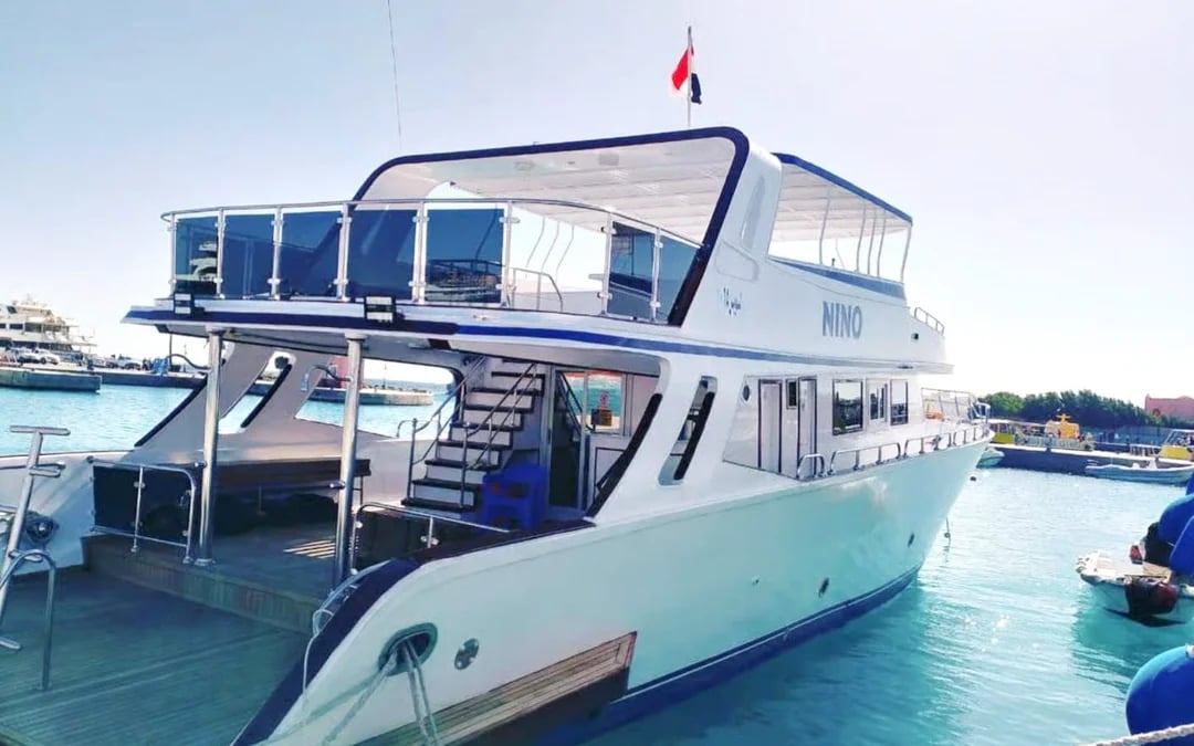 From Hurghada: Sunset Intro Dive, Dolphin Watching, Snorkeling & Lunch Image 8