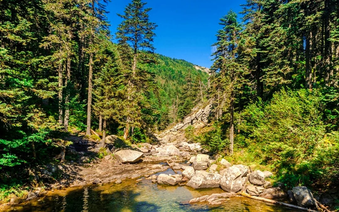 From Istanbul: Bursa and Uludag Mountain Tour with Cable Car and Lunch Image 4