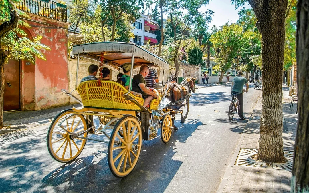 From Istanbul: Full-Day Princes’ Islands Tour to Heybeliada and Buyukada with Transfers Image 2