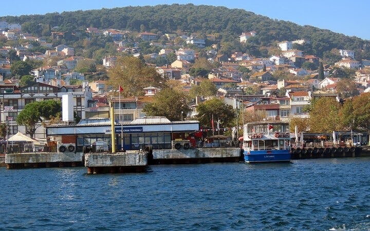 From Istanbul: Princes' Islands Sightseeing Cruise with Lunch Image 3