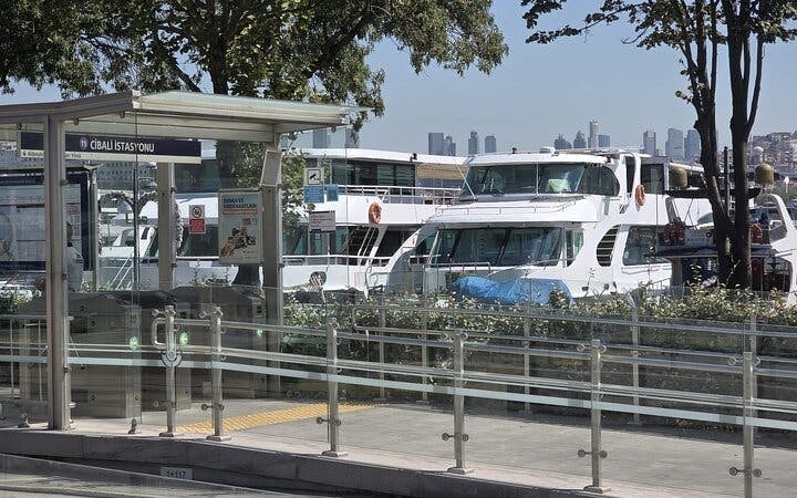 From Istanbul: Princes' Islands Sightseeing Cruise with Lunch Image 4