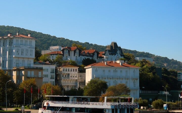 From Istanbul: Princes' Islands Sightseeing Cruise with Lunch Image 9