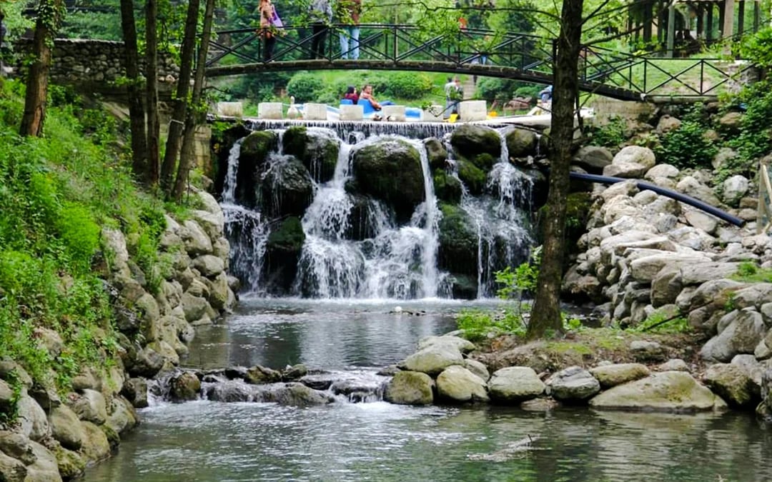 From Istanbul: Sapanca and Masukiye Tour with Lunch and Hotel Transfers Image 4