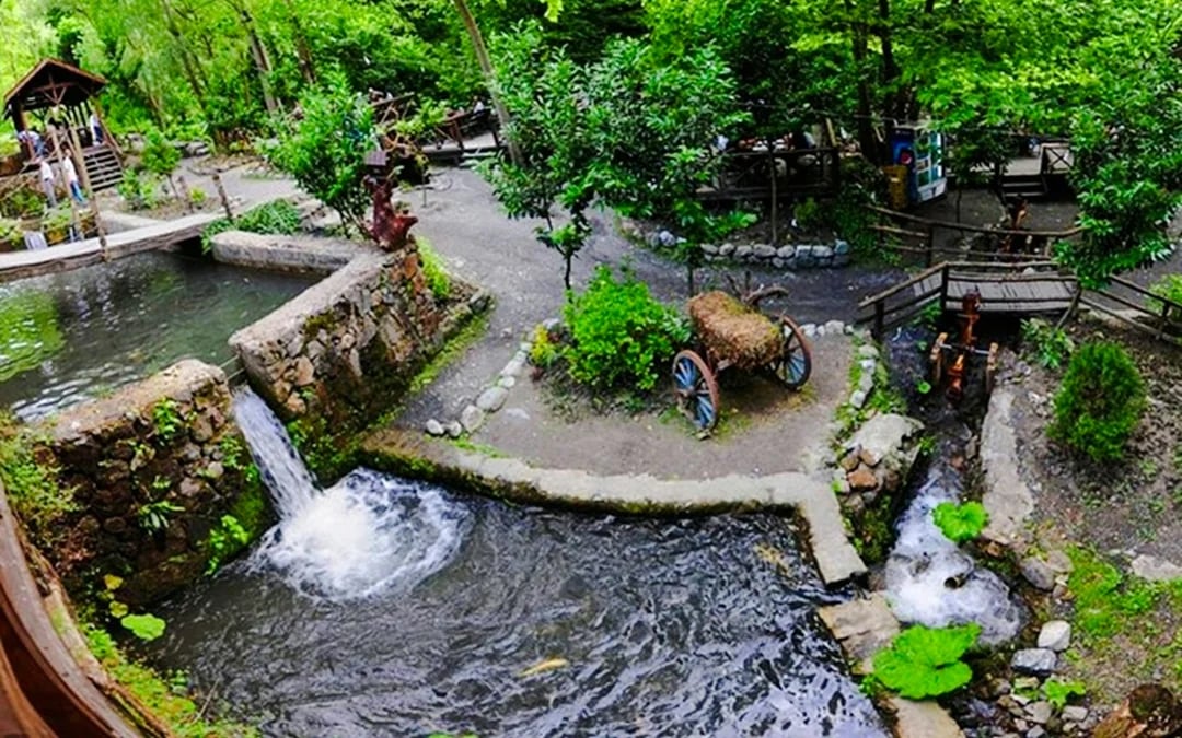 From Istanbul: Sapanca and Masukiye Tour with Lunch and Hotel Transfers Image 5