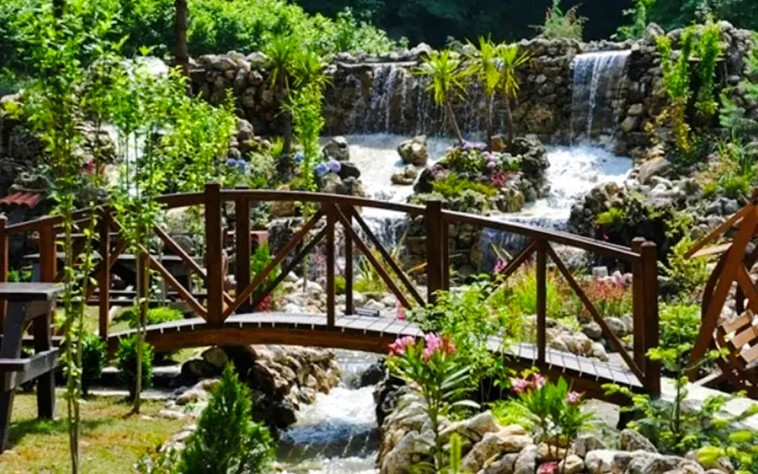From Istanbul: Sapanca and Masukiye Tour with Lunch and Hotel Transfers Image 6