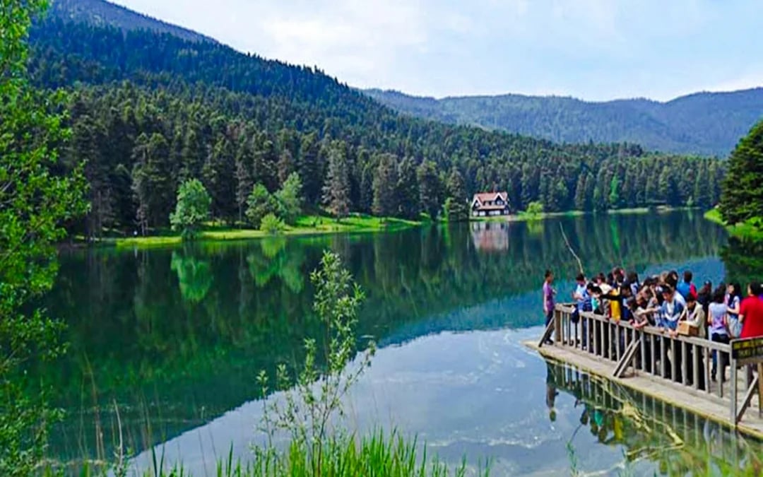 From Istanbul: Sapanca and Masukiye Tour with Lunch and Hotel Transfers Image 7