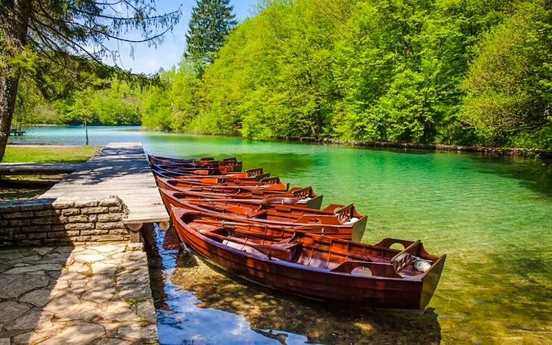 From Istanbul: Sapanca and Masukiye Tour with Lunch and Hotel Transfers Image 8