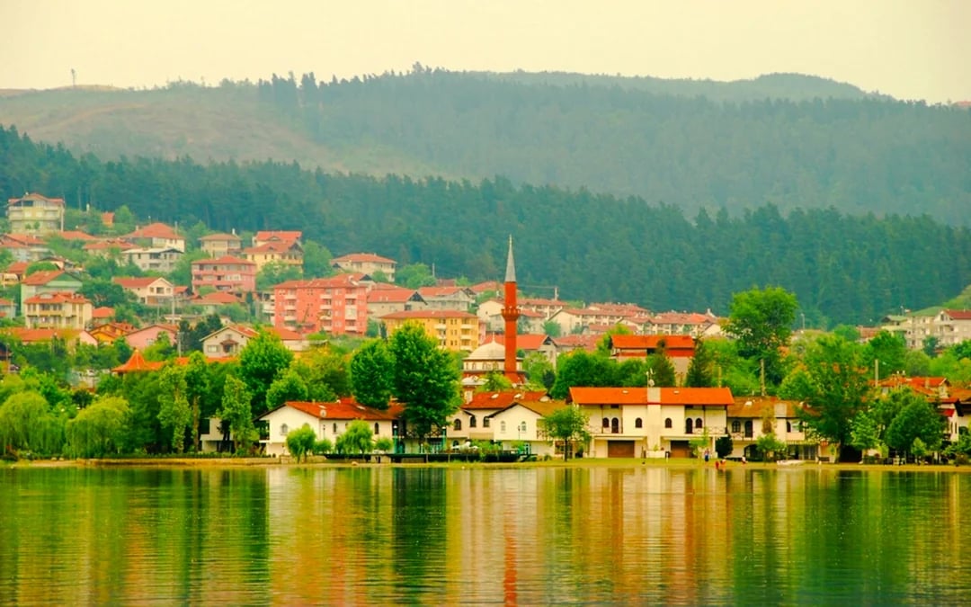 From Istanbul: Sapanca and Masukiye Tour with Lunch and Hotel Transfers Image 10