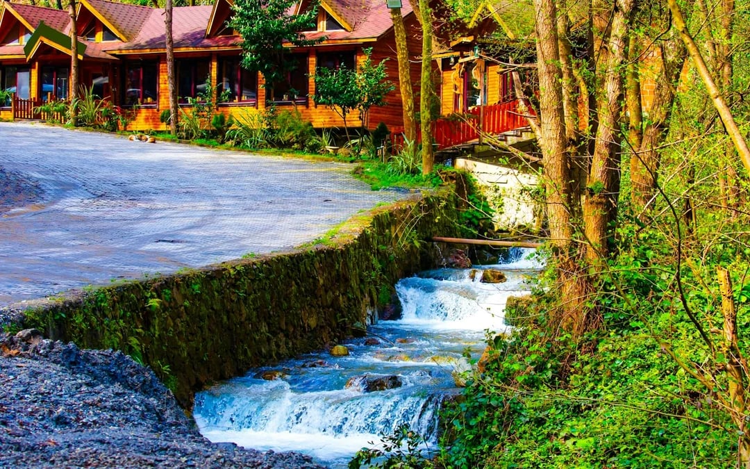 From Istanbul: Sapanca Lake & Maşukiye Day Trip with Lunch Image 2