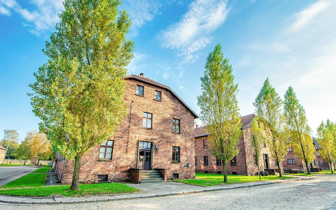 From Katowice: Auschwitz-Birkenau Guided Tour with Transfers Image 2
