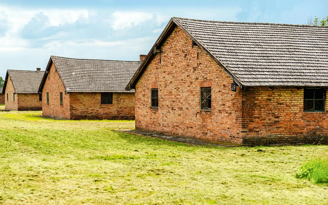 From Katowice: Auschwitz-Birkenau Guided Tour with Transfers Image 9