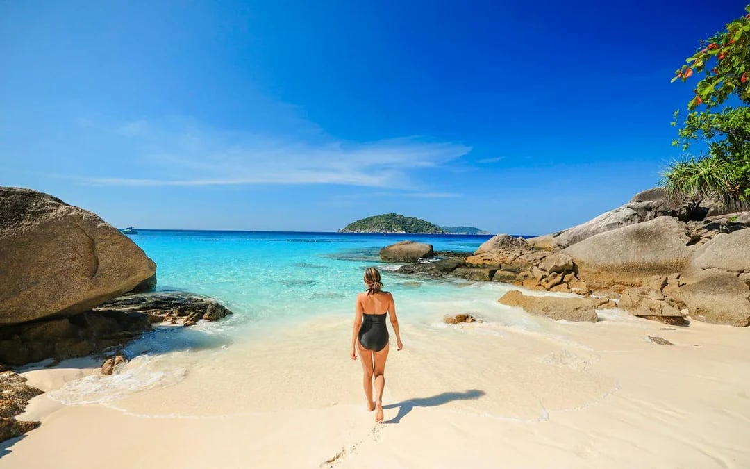 From Khao Lak: Similan Islands Speedboat Tour with Breakfast, Lunch & Transfers Image 8