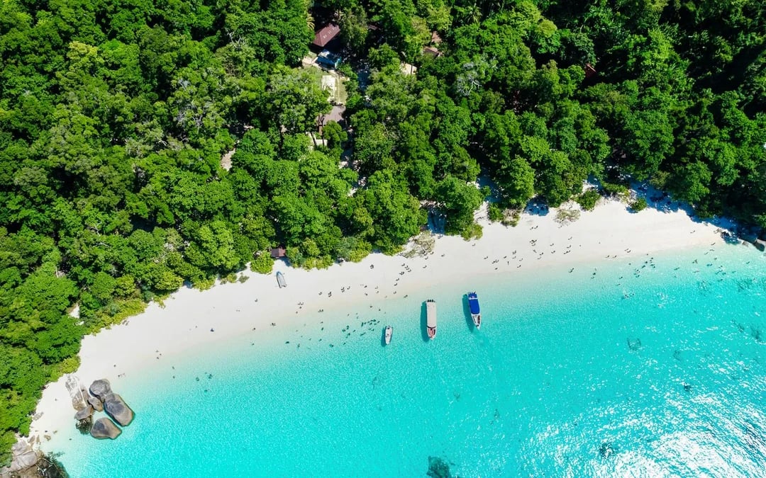 From Khao Lak: Similan Islands Speedboat Tour with Breakfast, Lunch & Transfers Image 10