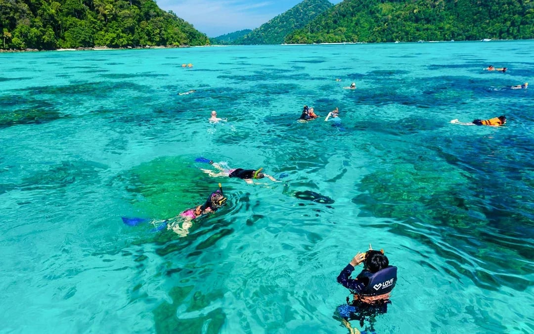 From Khao Lak: Surin Islands Speedboat Tour with Breakfast, Lunch & Transfers
 Image 10
