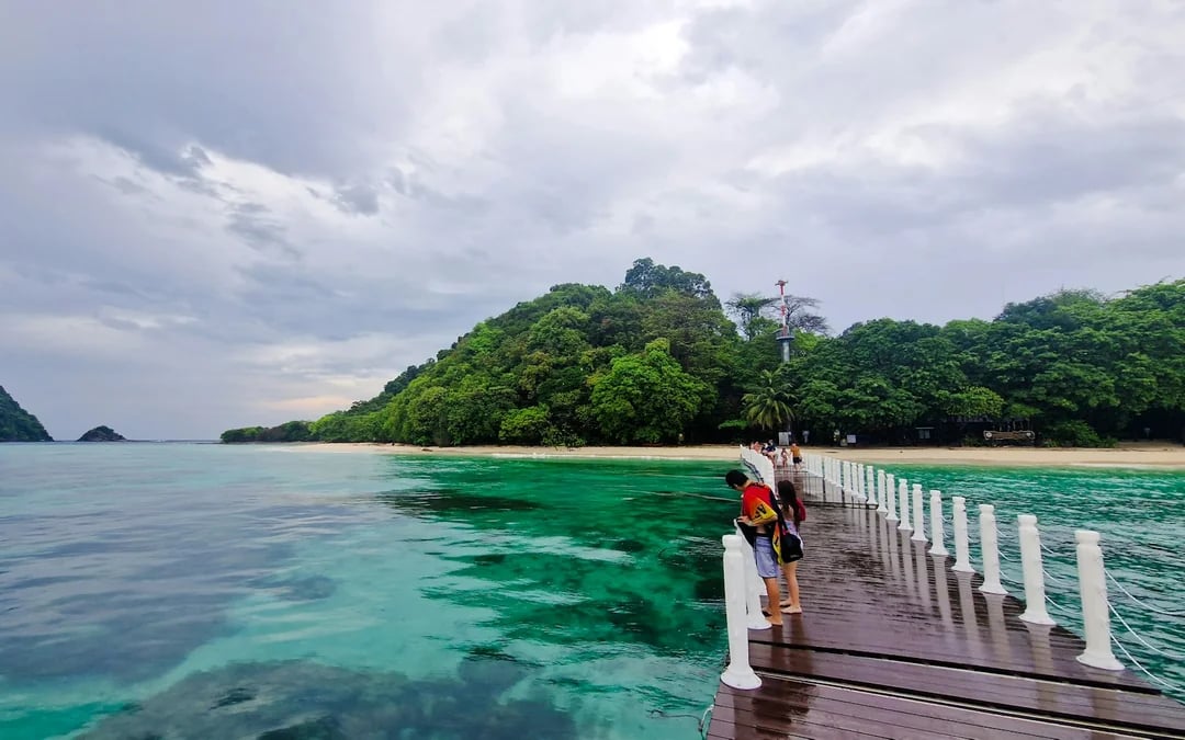 From Koh Lanta: Koh Rok & Koh Haa Speedboat Snorkeling Tour With Lunch Buffet Image 1