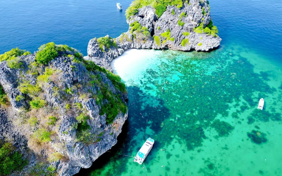 From Koh Lanta: Koh Rok & Koh Haa Speedboat Snorkeling Tour With Lunch Buffet Image 12
