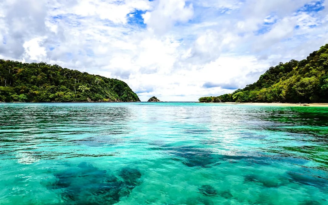 From Koh Lanta: Koh Rok & Koh Haa Speedboat Snorkeling Tour With Lunch Buffet Image 4