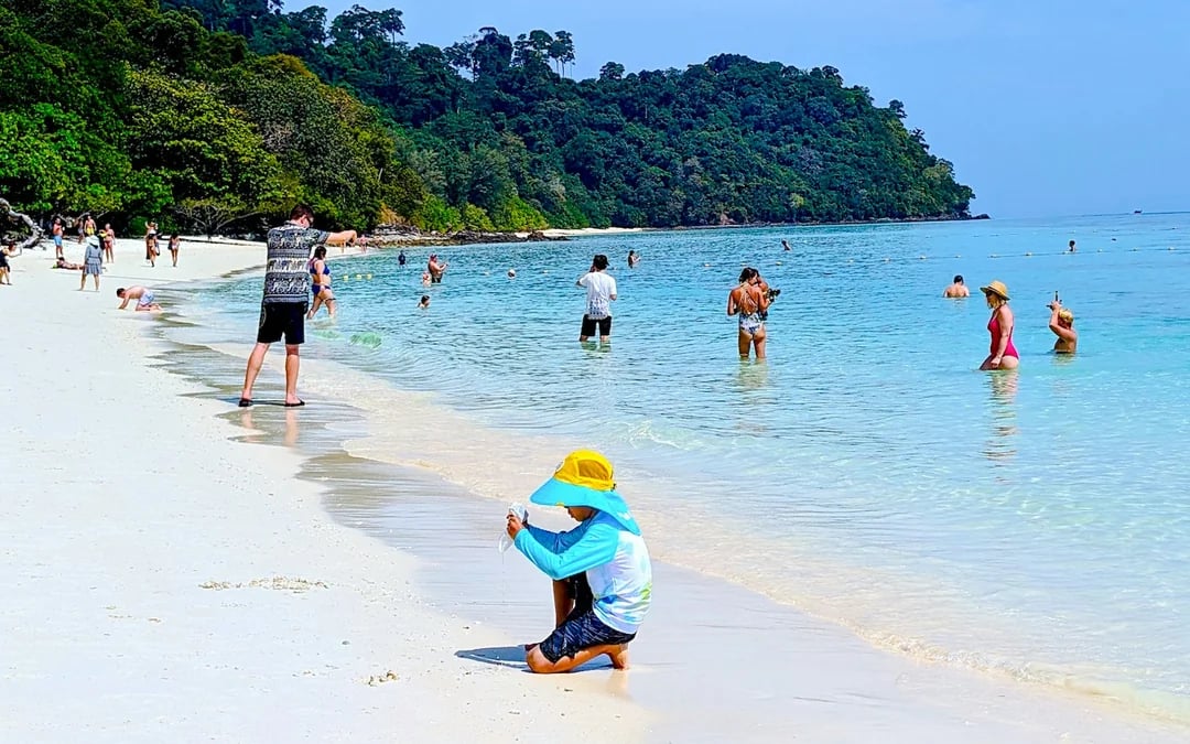 From Koh Lanta: Koh Rok & Koh Haa Speedboat Snorkeling Tour With Lunch Buffet Image 9