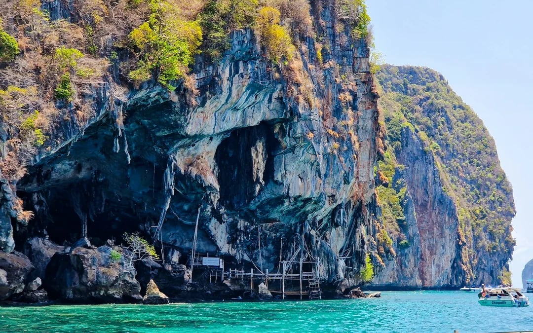 From Koh Lanta: Phi Phi Islands Day Trip with Private Longtail Boat Tour Image 11