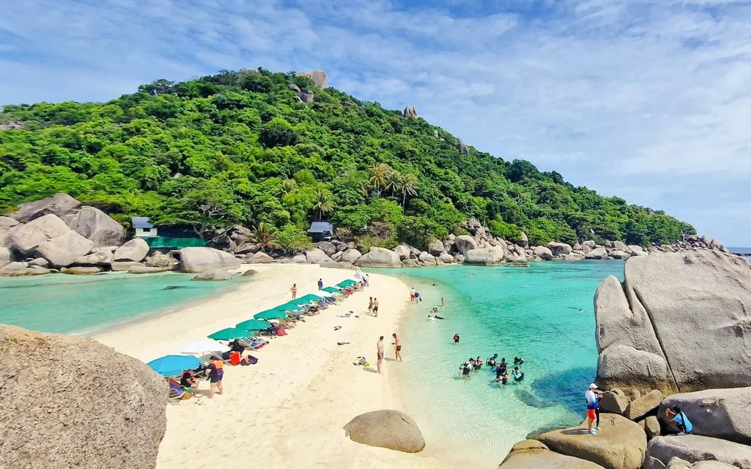 From Koh Phangan: Koh Tao & Koh Nang Yuan Speedboat Day Trip with Snorkeling and Lunch Image 4