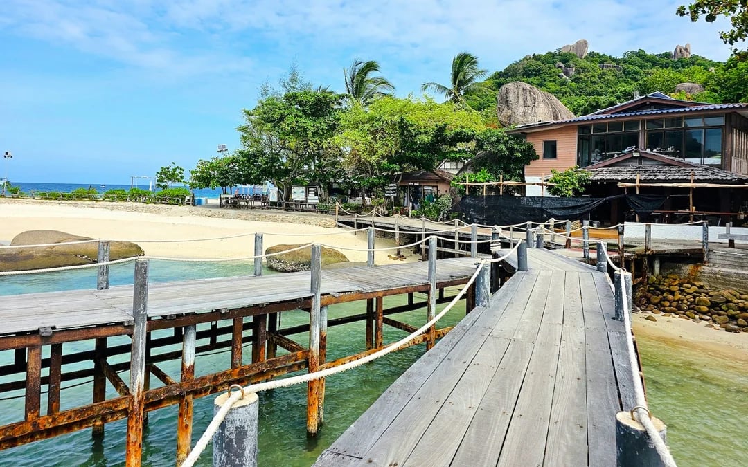 From Koh Phangan: Koh Tao & Koh Nang Yuan Speedboat Day Trip with Snorkeling and Lunch Image 5