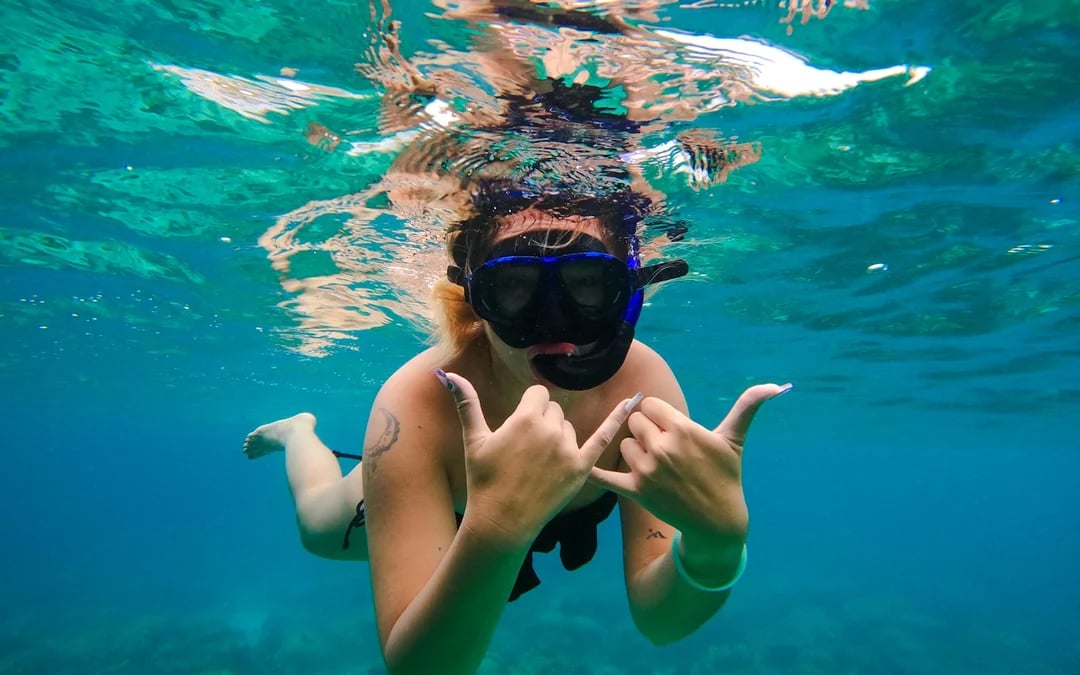 From Koh Phangan: Koh Tao & Koh Nang Yuan Speedboat Day Trip with Snorkeling and Lunch Image 7