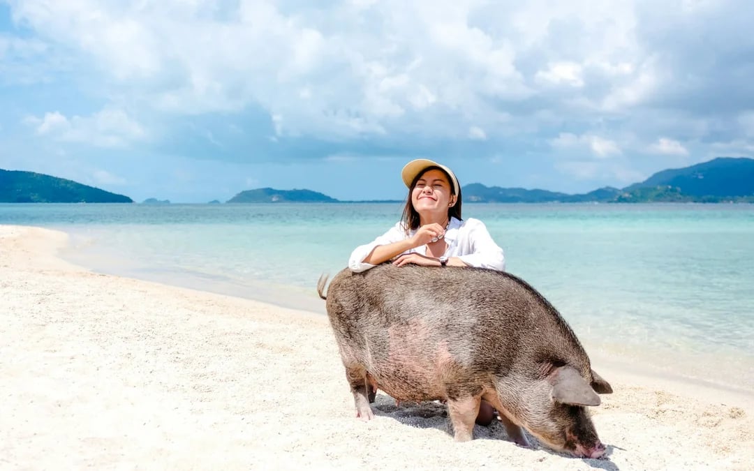 From Koh Samui: Koh Tan and Koh Mudsum Speedboat Day Trip Image 1