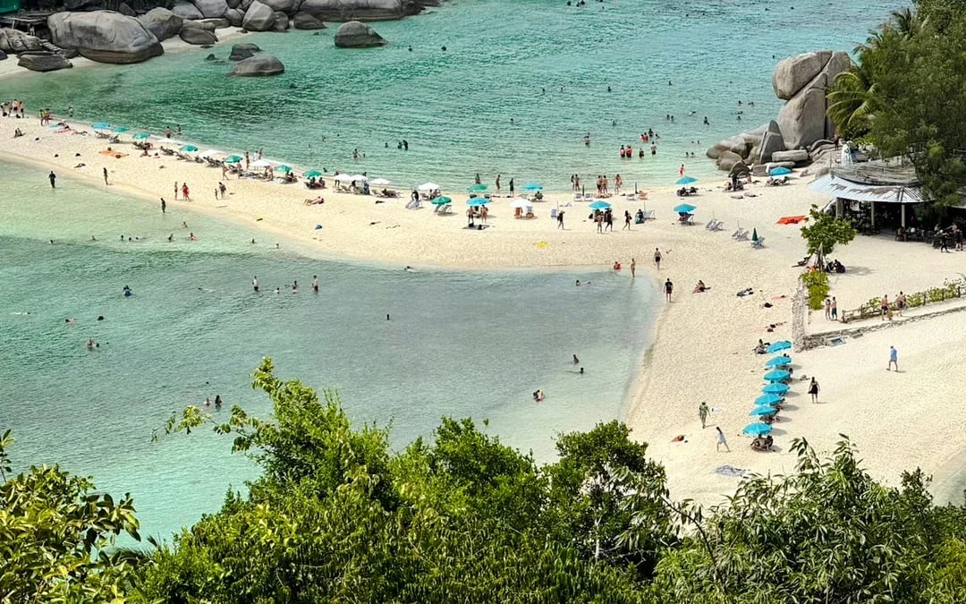 From Koh Samui: Koh Tao and Koh Nang Yuan Snorkeling Tour by Speedboat Image 2