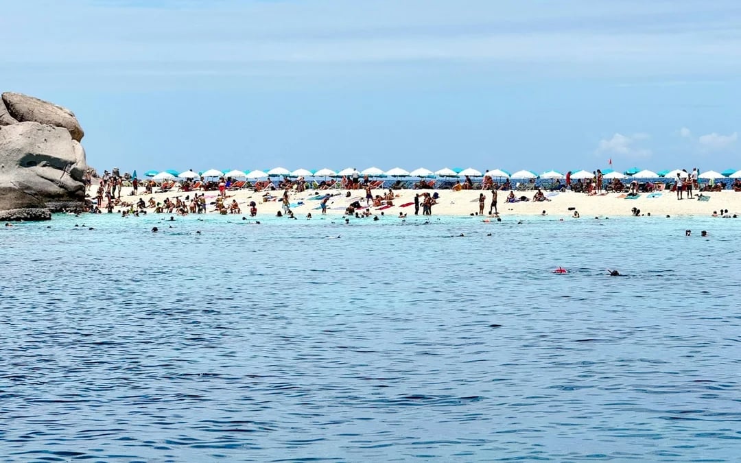 From Koh Samui: Koh Tao and Koh Nang Yuan Snorkeling Tour by Speedboat Image 3