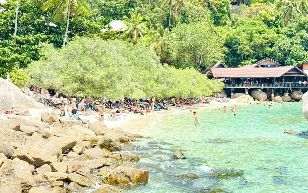 From Koh Samui: Koh Tao and Koh Nang Yuan Snorkeling Tour by Speedboat Image 4