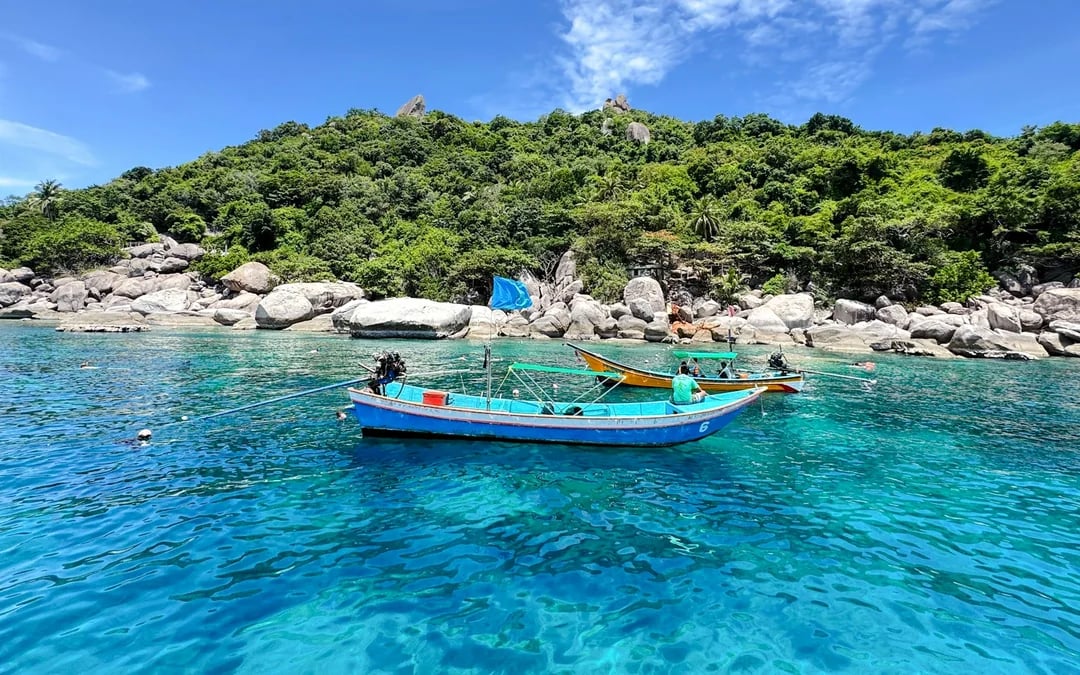 From Koh Samui: Koh Tao and Koh Nang Yuan Snorkeling Tour by Speedboat Image 5