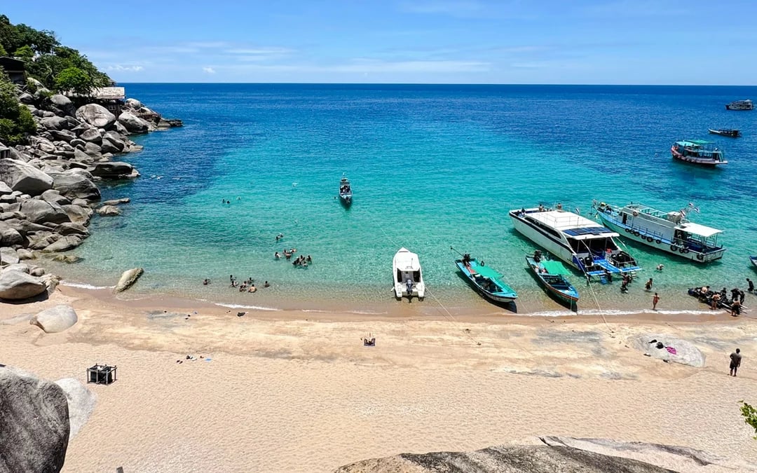 From Koh Samui: Koh Tao and Koh Nang Yuan Snorkeling Tour by Speedboat Image 6