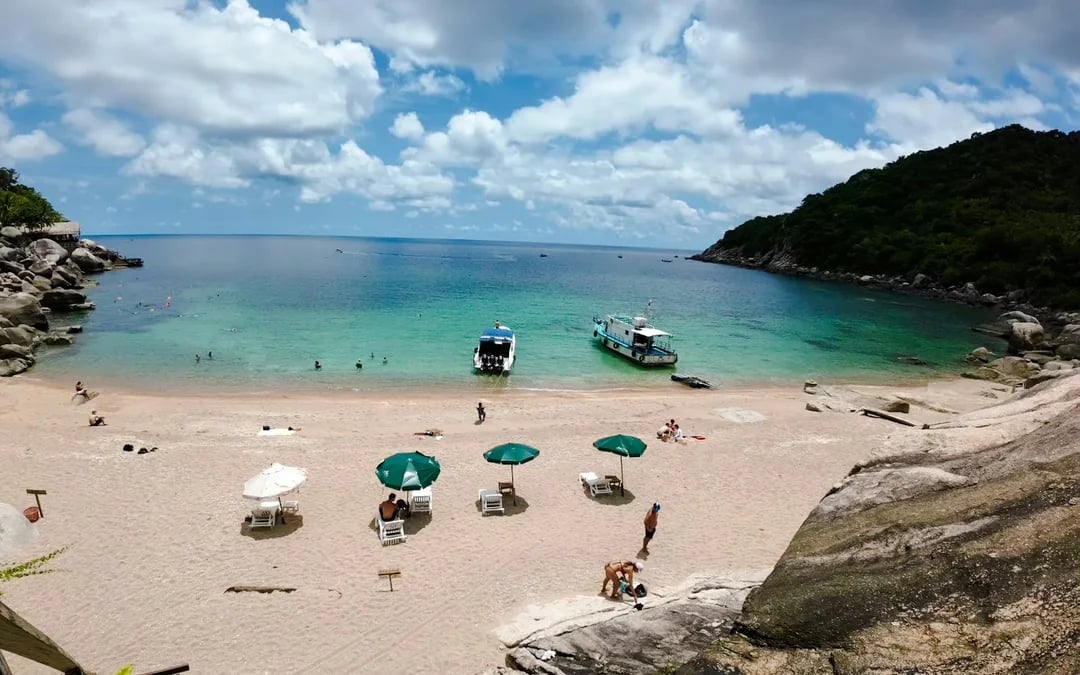 From Koh Samui: Koh Tao and Koh Nang Yuan Snorkeling Tour by Speedboat Image 7