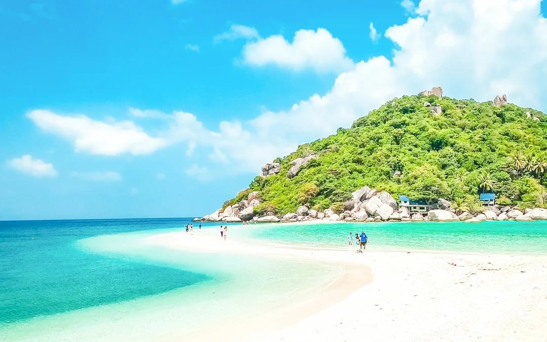 From Koh Samui: Koh Tao and Koh Nangyuan Speedboat Tour with Snorkeling Image 4