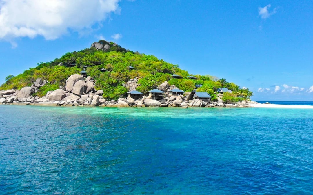 From Koh Samui: Koh Tao and Koh Nangyuan Speedboat Tour with Snorkeling Image 6