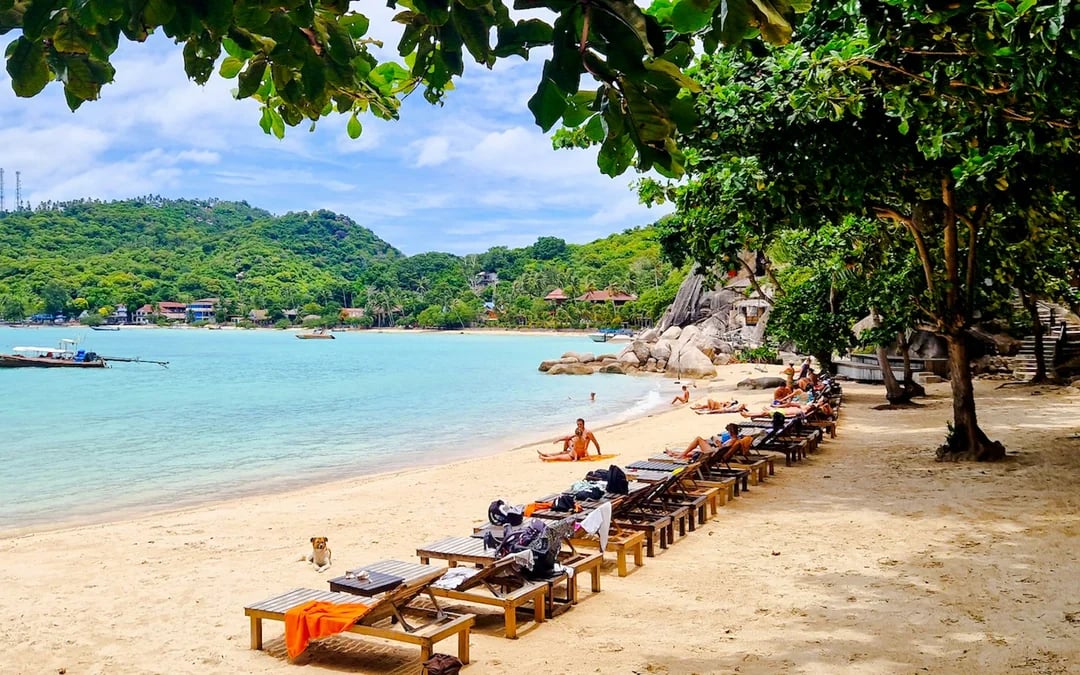 From Koh Tao: Private Car Sightseeing & Snorkeling Tour Image 10