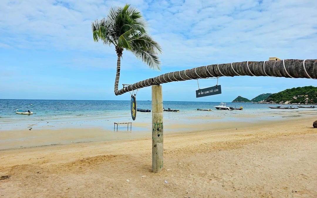 From Koh Tao: Private Longtail Boat Tour with Snorkeling and Koh Nang Yuan Image 6