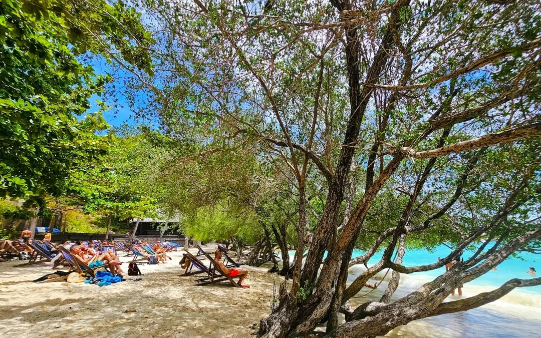From Koh Tao: Private Longtail Boat Tour with Snorkeling and Koh Nang Yuan Image 8