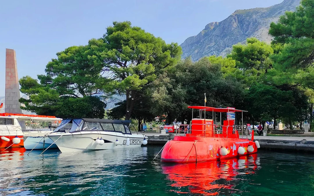 From Kotor: Boka Bay Panorama and Underwater Experience in a Submarine Image 1