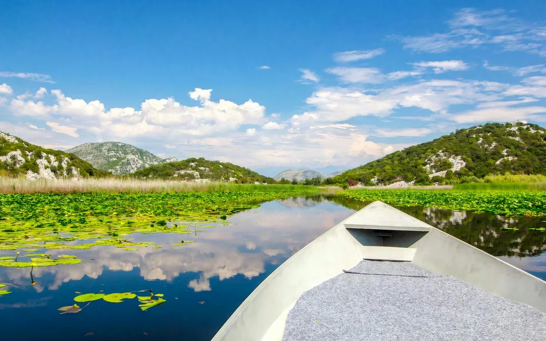 From Kotor/Budva/Tivat/Herceg Novi: Lake Skadar & Biograd Day Trip with Boat Ride Image 2