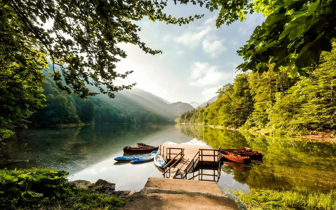 From Kotor/Budva/Tivat/Herceg Novi: Lake Skadar & Biograd Day Trip with Boat Ride Image 3
