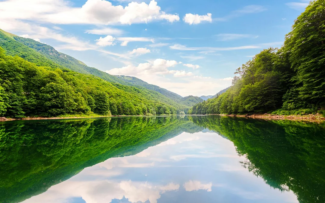From Kotor/Budva/Tivat/Herceg Novi: Lake Skadar & Biograd Day Trip with Boat Ride Image 4