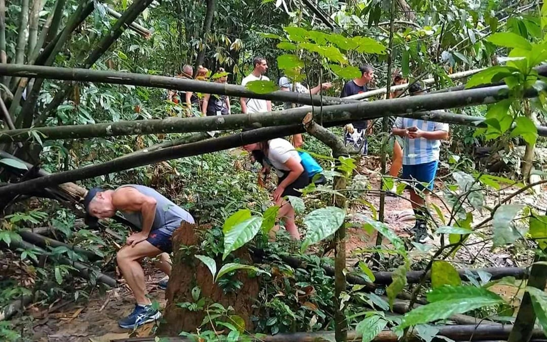 From Krabi: Cheow Lan Lake Boat Tour, Jungle Hike, Diamond Cave, and Floating Restaurant Lunch Guided Tour Image 10