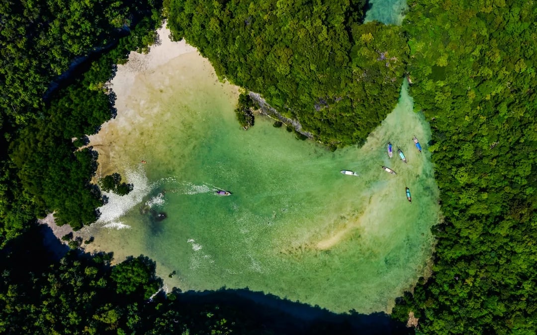 From Krabi: Hong Island-Hopping Tour with Lunch and Round-Trip Transfers Image 10