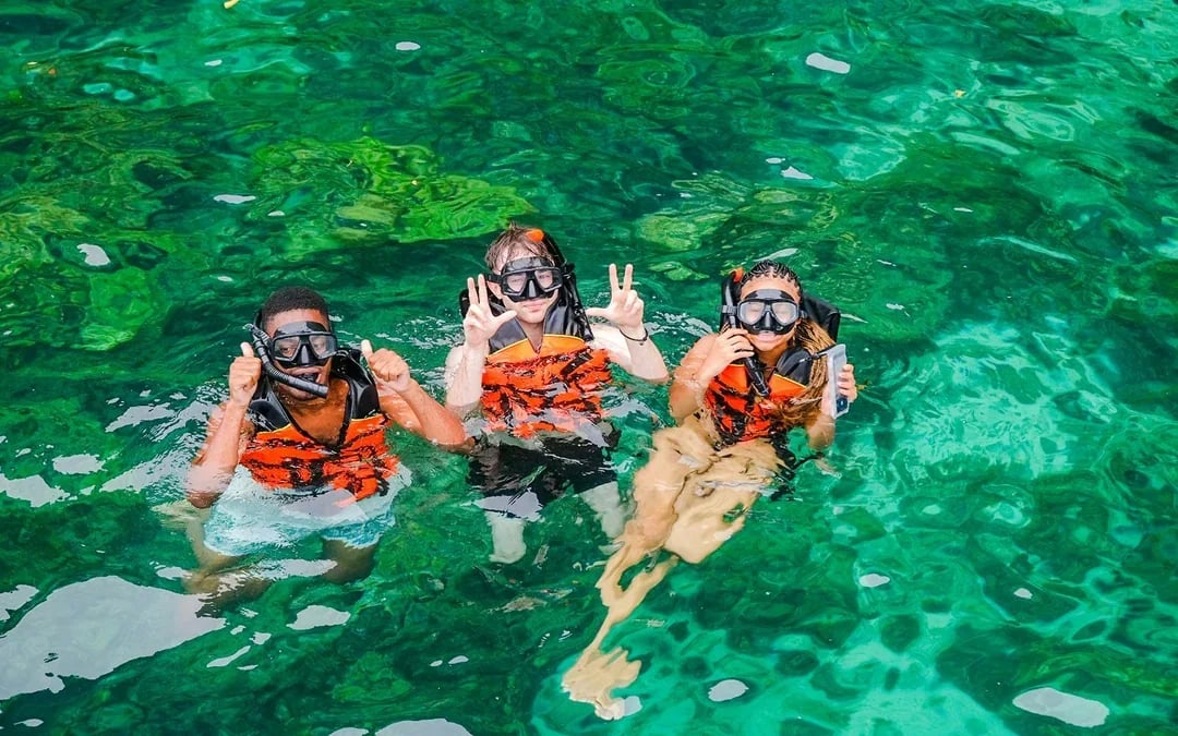 From Krabi: Phi Phi Island & Bamboo Island Day Tour by Speedboat with Lunch & Transfers Image 3
