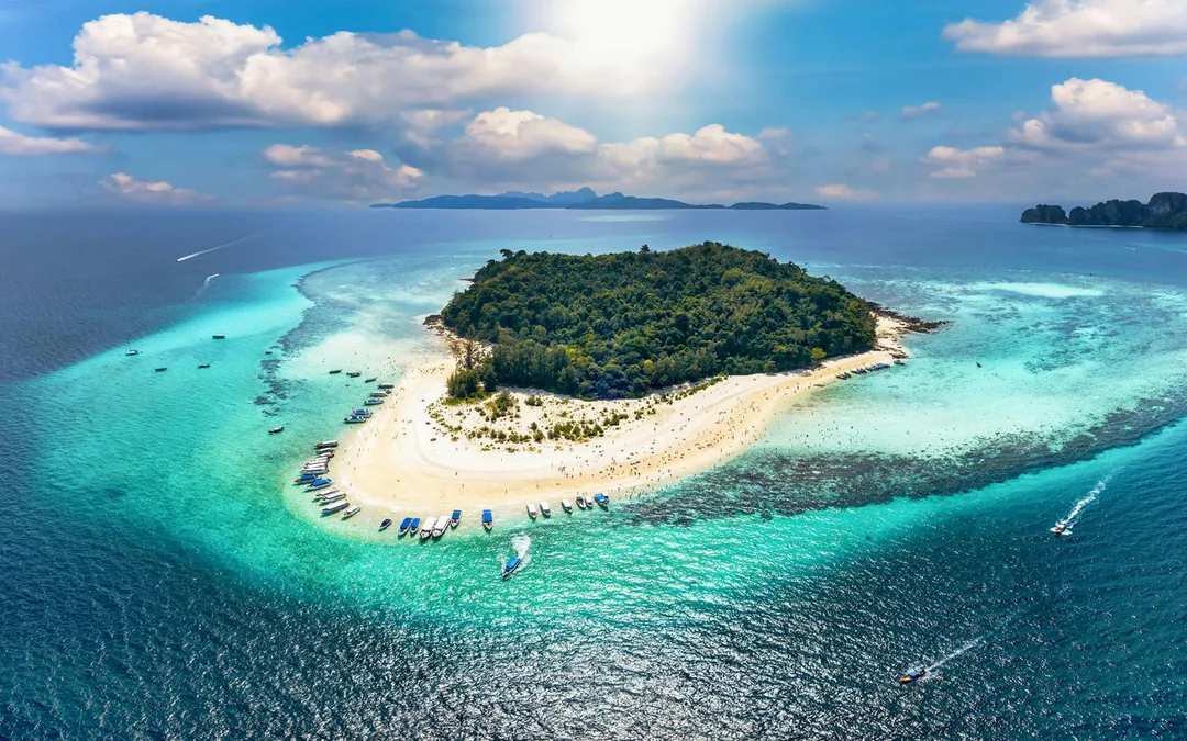 From Krabi: Phi Phi Island & Bamboo Island Day Tour by Speedboat with Lunch & Transfers Image 4