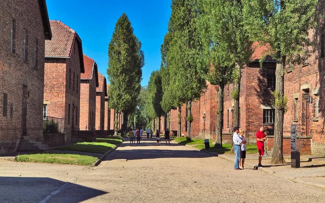From Krakow: Auschwitz-Birkenau & Oskar Schindler's Factory Guided Tour Image 7
