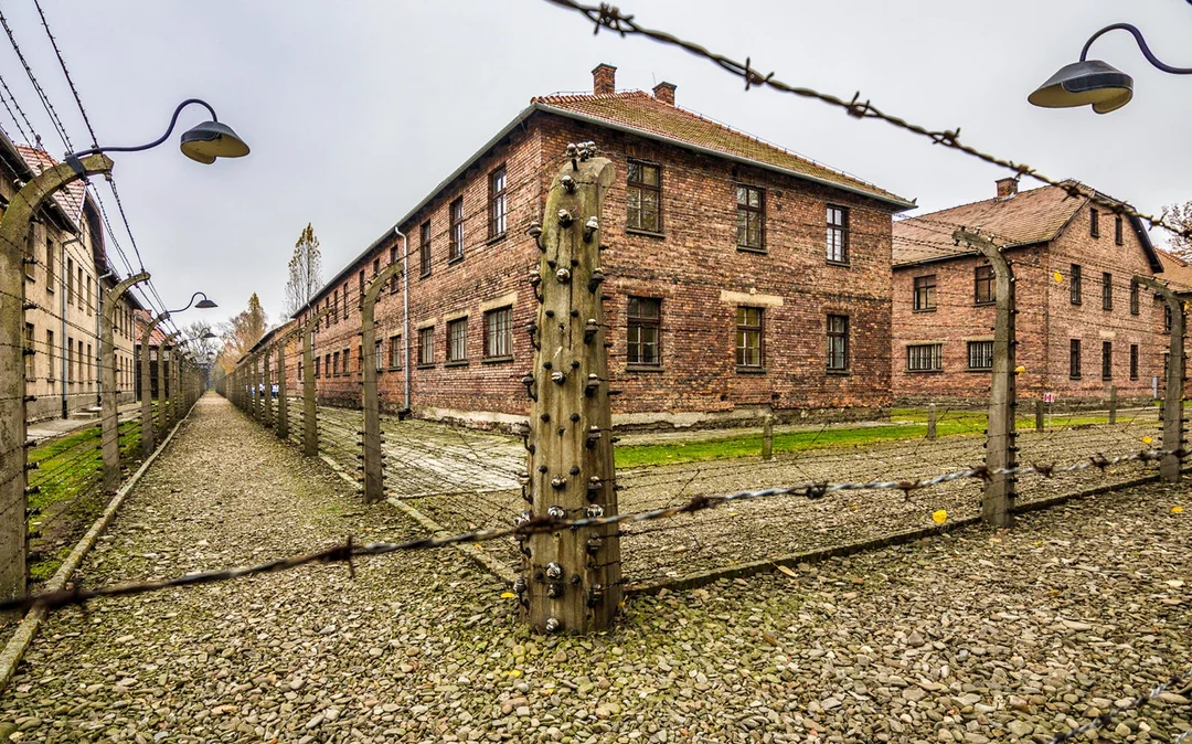 From Krakow: Auschwitz-Birkenau & Wieliczka Salt Mine Day Trip with Lunch & Transfers Image 2